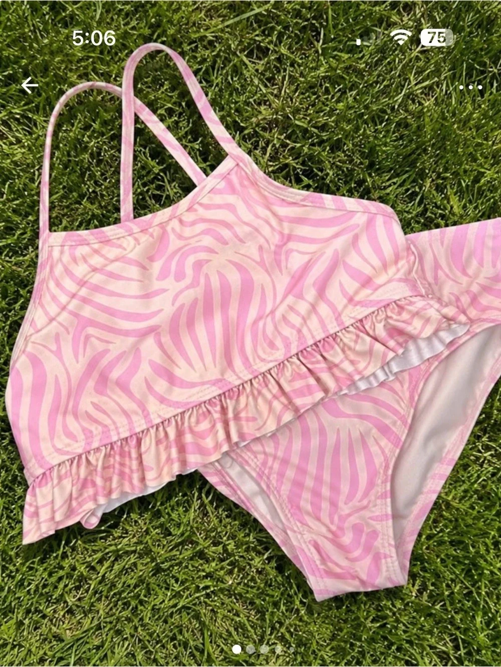 Wonder Nation Pink Cream Yellow Zebra Two Piece Ruffle Bikini Size XL 14/16
